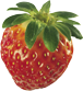 strawberry right